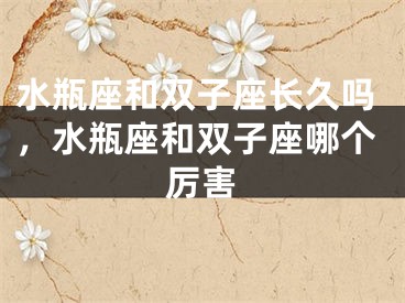 水瓶座和双子座长久吗,水瓶座和双子座哪个厉害