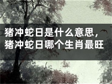 猪冲蛇日是什么意思,猪冲蛇日哪个生肖最旺