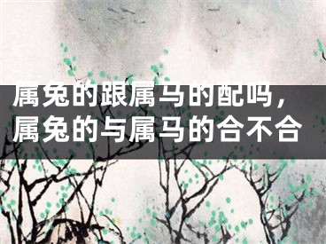 属兔的跟属马的配吗，属兔的与属马的合不合