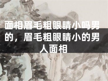 面相眉毛粗眼睛小吗男的，眉毛粗眼睛小的男人面相