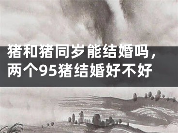 猪和猪同岁能结婚吗，两个95猪结婚好不好