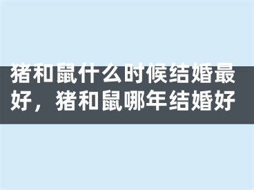 猪和鼠什么时候结婚最好，猪和鼠哪年结婚好