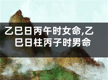乙巳日丙午时女命,乙巳日柱丙子时男命