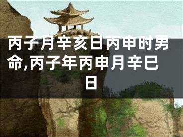 丙子月辛亥日丙申时男命,丙子年丙申月辛巳日