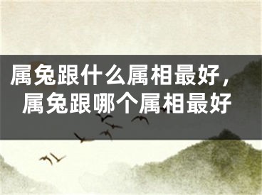 属兔跟什么属相最好，属兔跟哪个属相最好