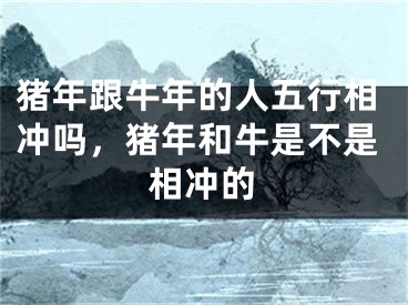 猪年跟牛年的人五行相冲吗，猪年和牛是不是相冲的