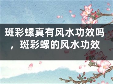 斑彩螺真有风水功效吗，斑彩螺的风水功效