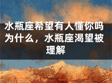 水瓶座希望有人懂你吗为什么，水瓶座渴望被理解
