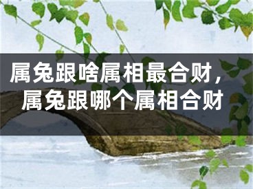 属兔跟啥属相最合财，属兔跟哪个属相合财