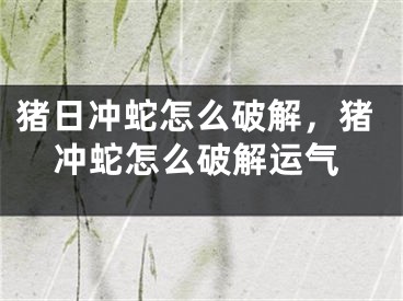 猪日冲蛇怎么破解,猪冲蛇怎么破解运气