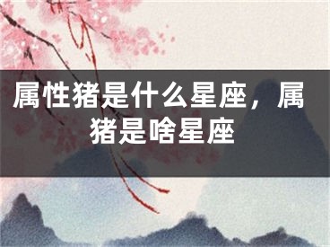 属性猪是什么星座，属猪是啥星座