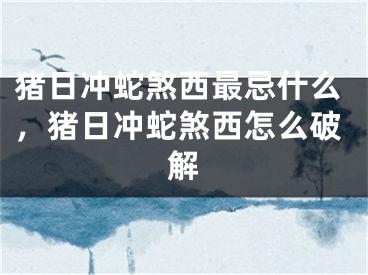 猪日冲蛇煞西最忌什么,猪日冲蛇煞西怎么破解