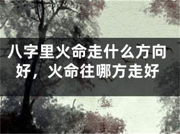八字里火命走什么方向好,火命往哪方走好