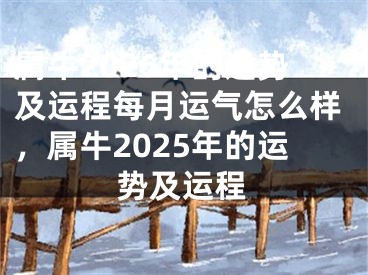 属牛2026年的运势及运程每月运气怎么样，属牛2025年的运势及运程