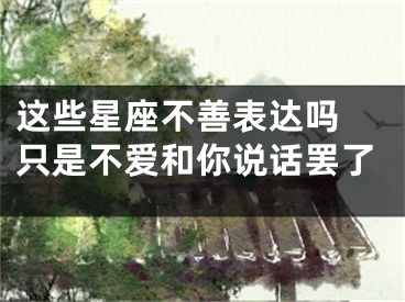 这些星座不善表达吗 只是不爱和你说话罢了