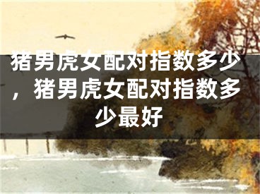 猪男虎女配对指数多少，猪男虎女配对指数多少最好