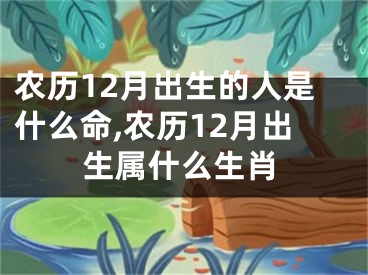 农历12月出生的人是什么命,农历12月出生属什么生肖