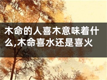 木命的人喜木意味着什么,木命喜水还是喜火