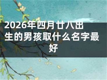 2026年四月廿八出生的男孩取什么名字最好