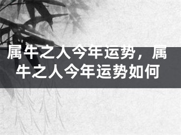 属牛之人今年运势，属牛之人今年运势如何