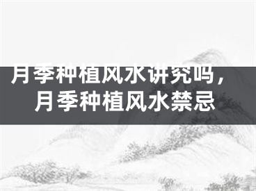 月季种植风水讲究吗，月季种植风水禁忌