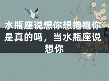水瓶座说想你想抱抱你是真的吗，当水瓶座说想你