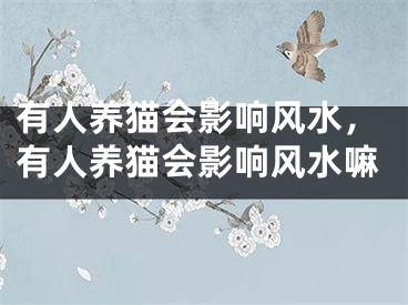 有人养猫会影响风水,有人养猫会影响风水嘛