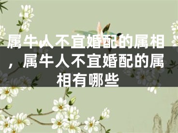 属牛人不宜婚配的属相，属牛人不宜婚配的属相有哪些