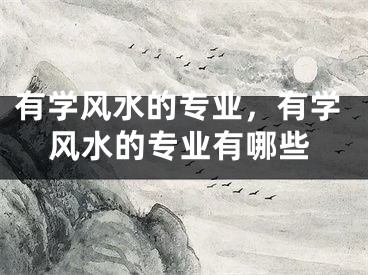 有学风水的专业，有学风水的专业有哪些