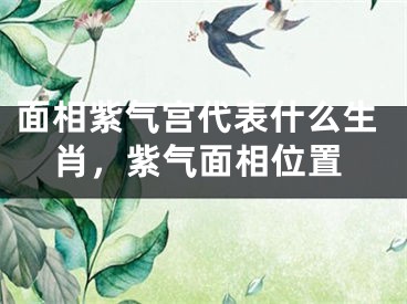 面相紫气宫代表什么生肖，紫气面相位置