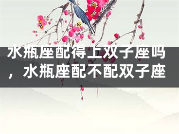 水瓶座配得上双子座吗，水瓶座配不配双子座