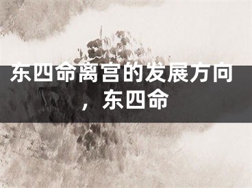 东四命离宫的发展方向，东四命