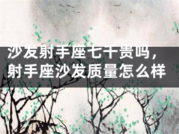 沙发射手座七千贵吗，射手座沙发质量怎么样