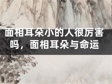 面相耳朵小的人很厉害吗,面相耳朵与命运