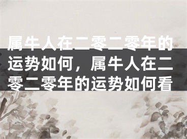 属牛人在二零二零年的运势如何，属牛人在二零二零年的运势如何看