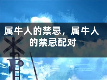属牛人的禁忌，属牛人的禁忌配对