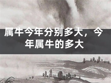 属牛今年分别多大，今年属牛的多大