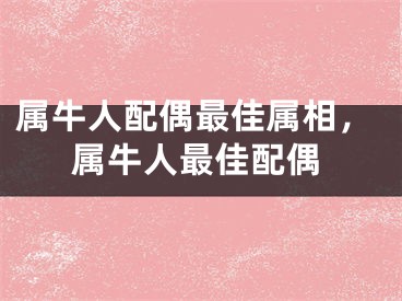 属牛人配偶最佳属相，属牛人最佳配偶