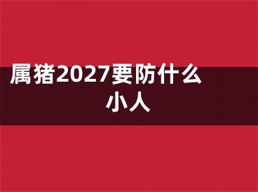 属猪2027要防什么小人