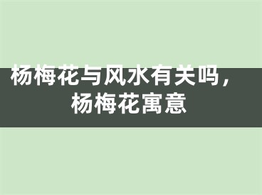 杨梅花与风水有关吗,杨梅花寓意
