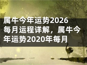 属牛今年运势2026每月运程详解，属牛今年运势2020年每月