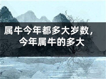 属牛今年都多大岁数，今年属牛的多大