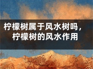柠檬树属于风水树吗,柠檬树的风水作用