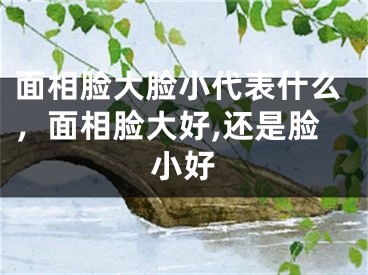 面相脸大脸小代表什么，面相脸大好,还是脸小好