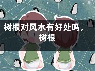 树根对风水有好处吗，树根