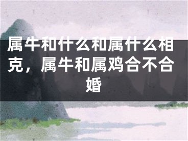 属牛和什么和属什么相克，属牛和属鸡合不合婚