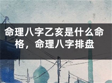 命理八字乙亥是什么命格,命理八字排盘