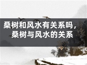 桑树和风水有关系吗，桑树与风水的关系