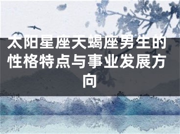 太阳星座天蝎座男生的性格特点与事业发展方向