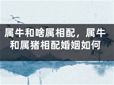 属牛和啥属相配，属牛和属猪相配婚姻如何